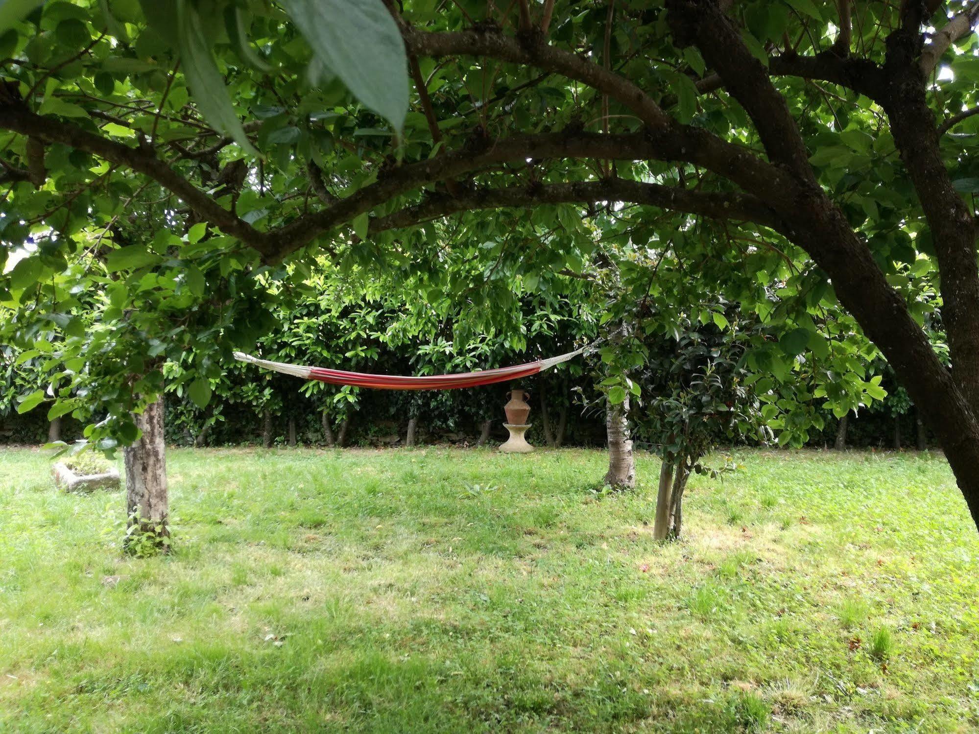 O Ze Ja Dormiu Aqui Villa Celeiros ภายนอก รูปภาพ